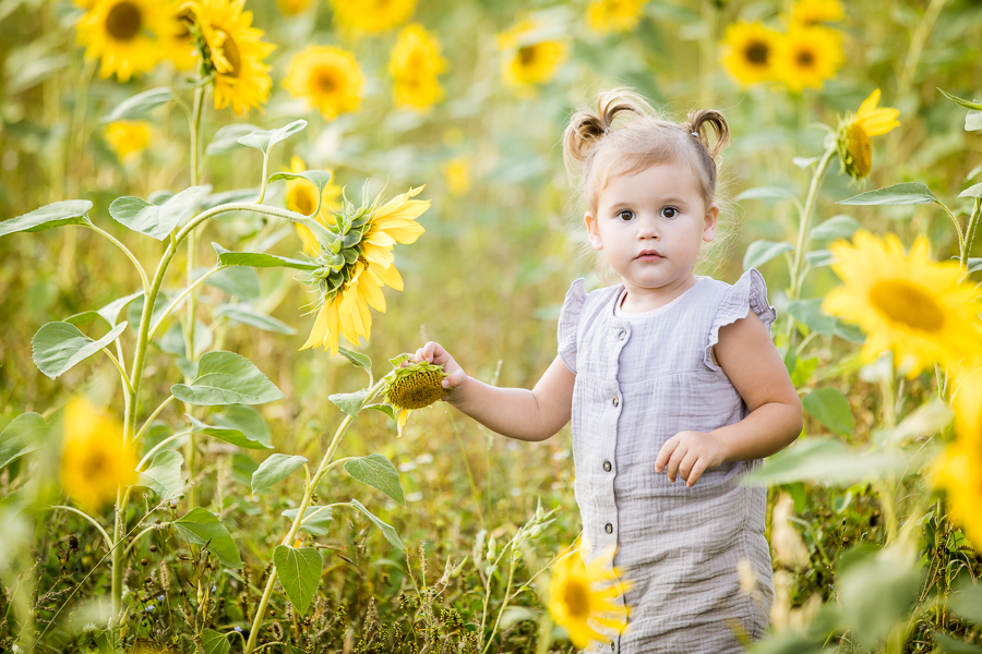 Babyfoto Bergedorf. Kinderfotografie. Stefanie Baars. Hamburg