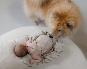 schlafendes Baby wird von Hund beschützt